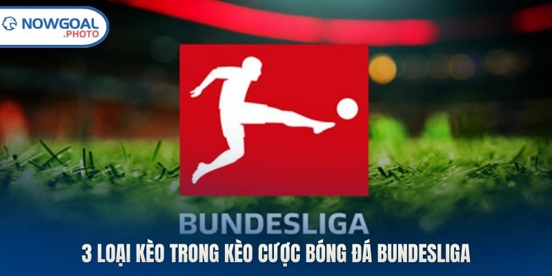 3 loại kèo trong kèo cược bóng đá Bundesliga
