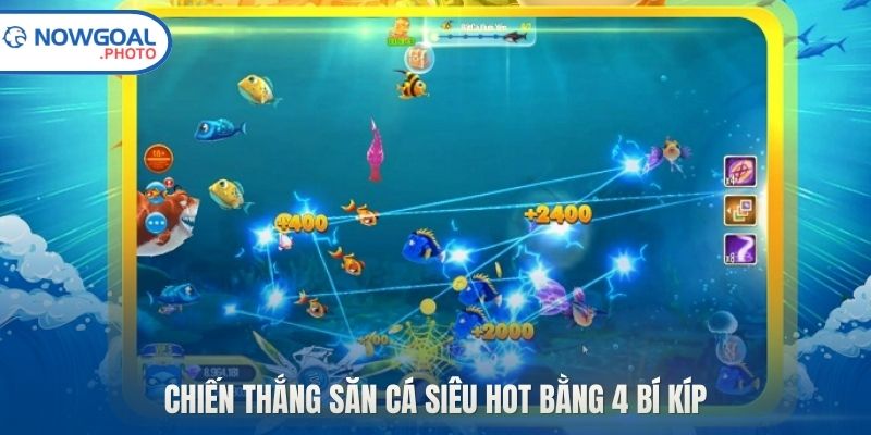 Chiến thắng săn cá siêu hot bằng 4 bí kíp