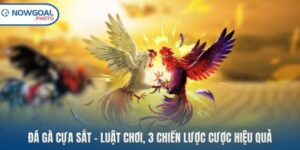 Đá Gà Cựa Sắt – Luật Chơi, 3 Chiến Lược Cược Hiệu Quả