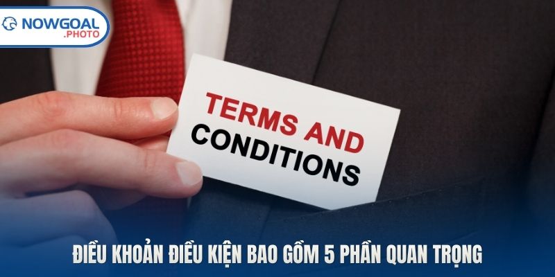 Điều khoản điều kiện bao gồm 5 phần quan trọng